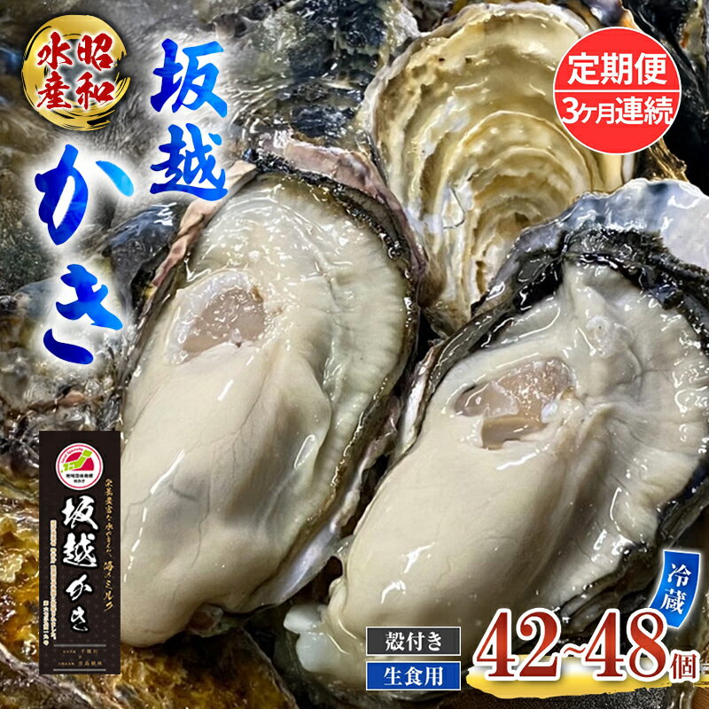 【ふるさと納税】定期便 牡蠣 生食用 坂越かき 殻付き 42～48個《3ヶ月連続お届け》 昭和水産 [ 生牡蠣 真牡蠣 かき カキ 冬牡蠣 ]　お届け：2026年1月中旬～2026年4月