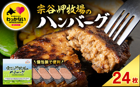 【稚内ブランド認定品】宗谷岬牧場のハンバーグ　120g4枚入×6箱(合計24枚)【配送不可地域：離島・沖縄県】