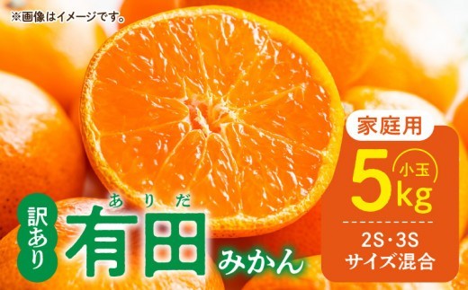 
                  【ふるさと納税】 ご家庭用 有田みかん 和歌山 小玉(2S,3Sサイズ混合) 約5kg_DZ6205
                