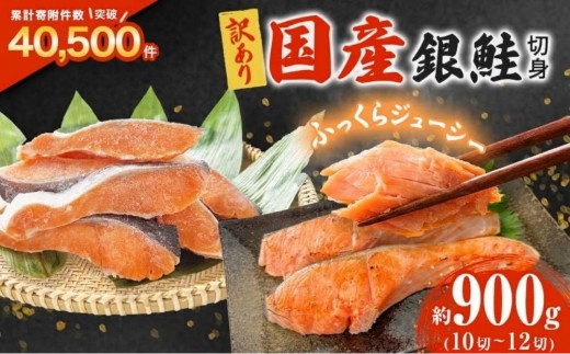 《訳あり》 産地直送！ 国産銀鮭 定塩切身 0.9kg 鮭 サーモン 国産 冷凍 切り身 塩鮭 おかず お弁当 さけ サケ 少量 お試しサイズ 石巻 宮城