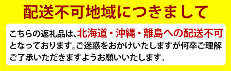 P1-004 《数量限定》窯変虹彩 アンモナイト紋大皿・取皿4枚セット【紅葉窯】ふるなび限定 日用品 皿 丸皿 食器 取り皿 大皿 小皿 陶器 和食器