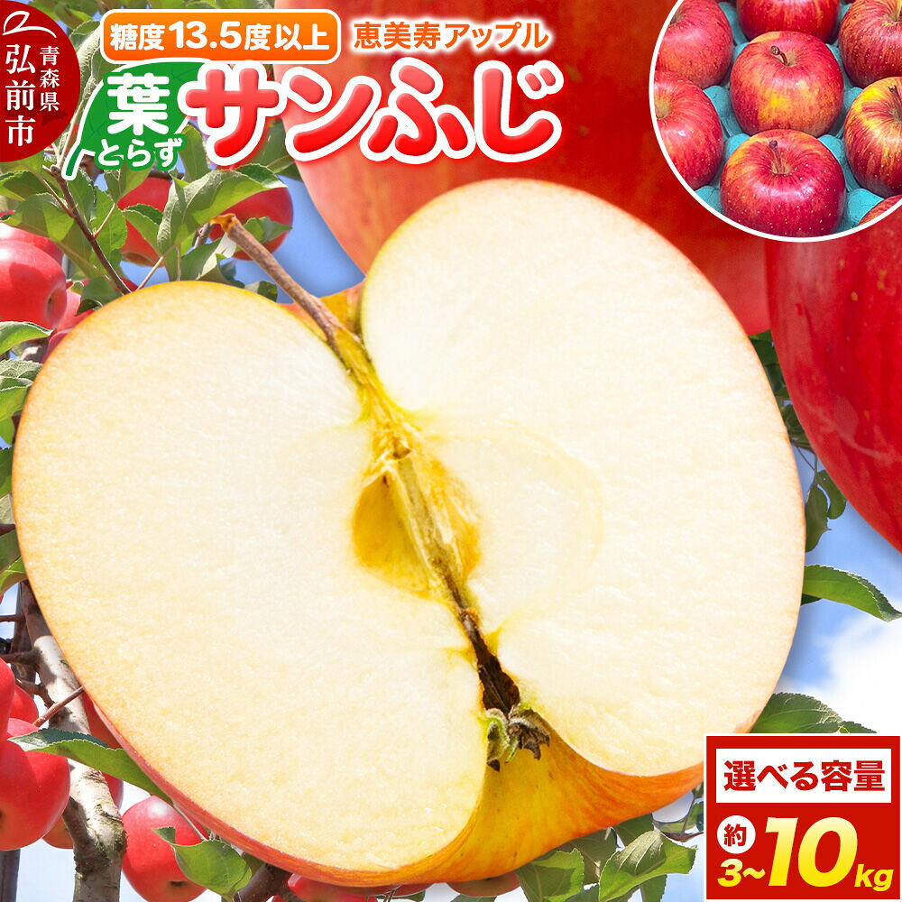 【ふるさと納税】りんご【26年12月発送】葉とらず サンふじ【家庭用】【選べる約 3kg／5kg／10kg】糖度13.5度以上 先行受付 青森県 弘前市 果物 フルーツ 林檎 リンゴ くだもの ギフト 贈り物 [先行予約 産地直送 アップル おいしい]