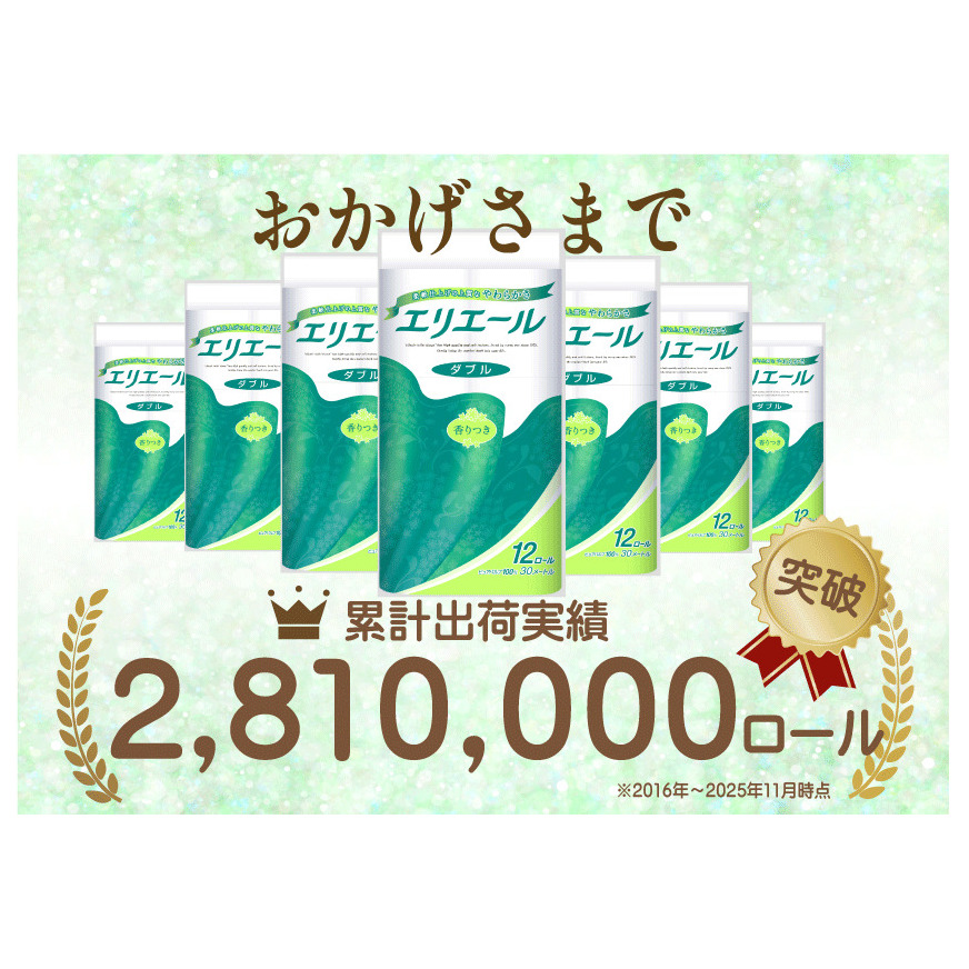 定期便 2ヵ月連続お届け エリエール [アソートB] トイレットペーパー ティッシュ トイレ ボックスティッシュ まとめ買い ペーパー ひとり暮らし 紙 防災 常備品 備蓄品 消耗品 備蓄 日用品 生