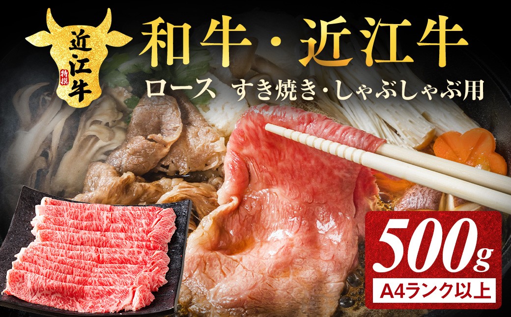 
                  【A4ランク以上】近江牛ロースすき焼きしゃぶしゃぶ用 500g
                