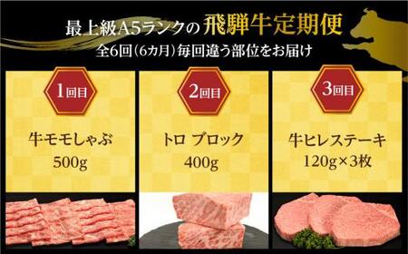 【定期便6ヶ月】 A5ランク肉 飛騨牛 定期便 約2.6kg(360g以上×6ヶ月) 牛肉 ( 焼肉 すき焼き しゃぶしゃぶ ステーキ 肩ロース ヒレ サーロイン もも バラ ) | 食べ比べ A5 