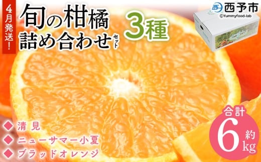 ＜4月発送！旬の柑橘 詰め合わせセット 3種×各2kg＞ 果物 フルーツ みかん ミカン 蜜柑 柑橘 オレンジ ブラッドオレンジ なつみ はるか ネーブル ポンカン 甘夏 特産品 宇都宮物産 愛媛県 西予市【常温】『4月に順次出荷予定』