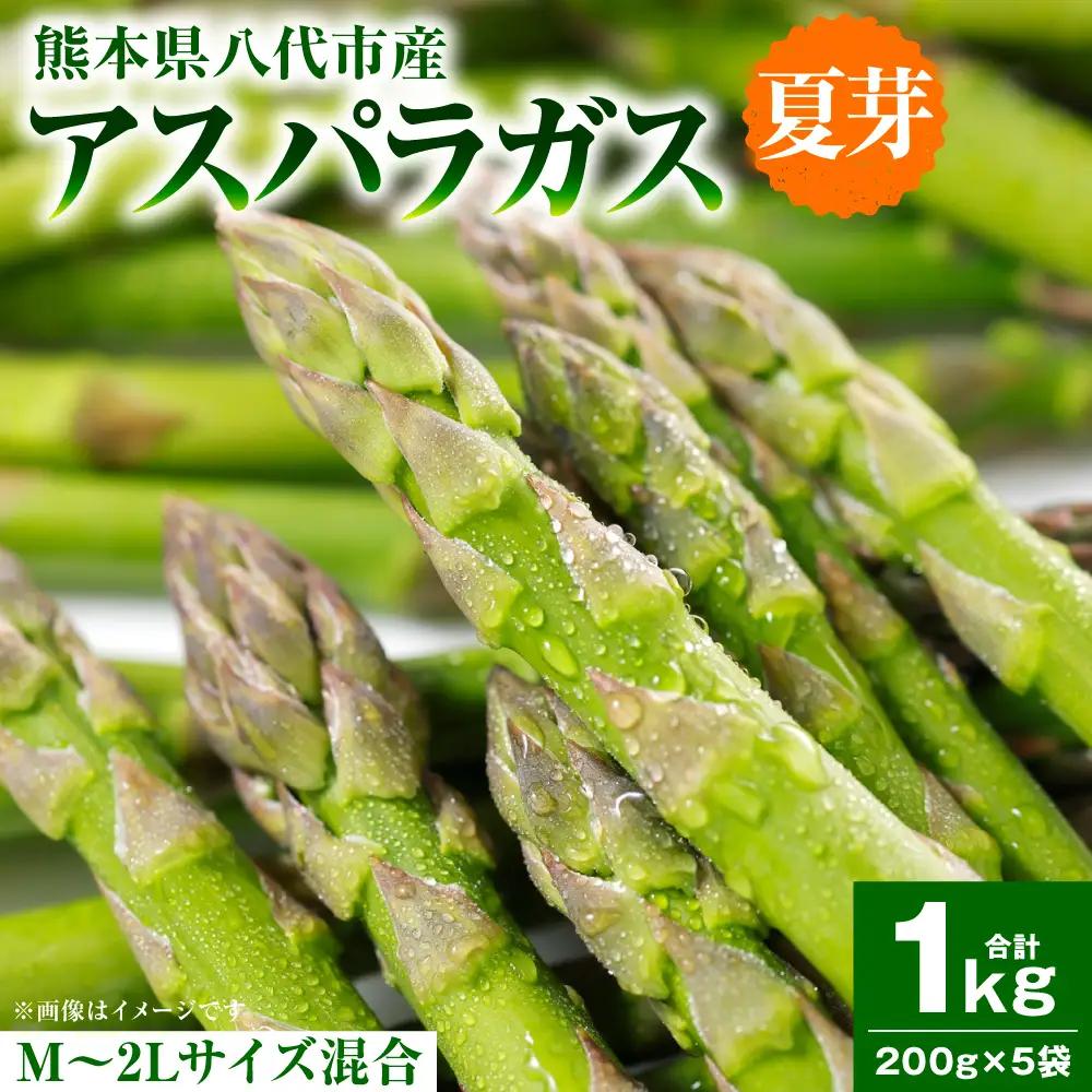 アスパラガス 1kg （M～2Lサイズ混合） アスパラ 新鮮 夏野菜 野菜 やさい 旬 産地直送 野菜ソムリエサミット 銀賞 熊本県 八代市