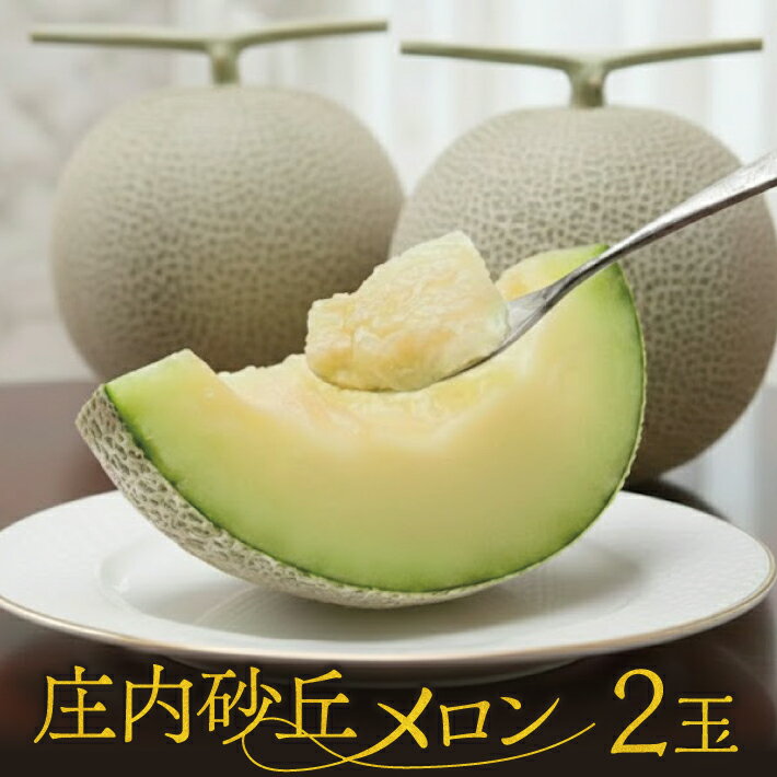 【ふるさと納税】庄内砂丘メロン 青肉メロン 2玉 1玉1.3kg以上 つる付き 7月上旬〜7月下旬頃お届け ※着日指定不可 メロン 青肉メロン 果物 フルーツ 東北 山形県 酒田市 庄内 夏