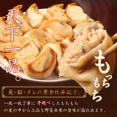 ふるさと納税 中標津町 【定期便:3回】【なかしべつミルキーポーク100%使用】 樹苞 お城餃子36個 |  | 01