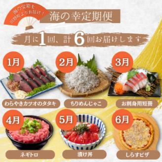 【四国一小さなまち】★2024年1月発送開始★ 《カネアリ水産》魚屋のうまいものづくし  6ヶ月定期便 （全6回）