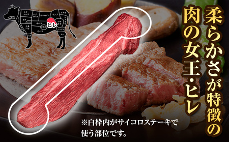 博多和牛 ヒレサイコロステーキ 600g 久田精肉店株式会社《30日以内に出荷予定(土日祝除く)》 博多和牛 牛肉 赤身 600g A5等級 訳あり ステーキ 国産 