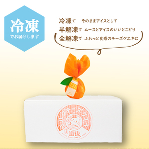 丸ごとみかんチーズケエキ 5個セット 菓子菓子菓子菓子菓子菓子チーズケーキチーズケーキチーズケーキチーズケーキチーズケーキチーズケーキ【ME002_x】