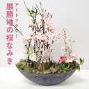 【ふるさと納税】展勝地 の桜なみき アートフラワー 光触媒 消臭 除菌 光触媒 空気清浄 フラワーアレンジメント インテリア 贈り物 プレゼント あとりえヒロ