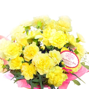 【先行予約】 母の日に！ カーネーション 黄色 2026年5月から順次発送 オンライン決済限定 花 花