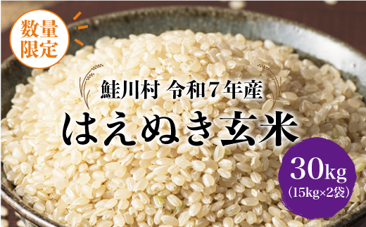 ◇数量限定品◇ 令和8年7月下旬発送 ＜令和7年産＞ はえぬき 【玄米】 30kg （15kg×2袋） 沖縄県・離島配送不可　鮭川村