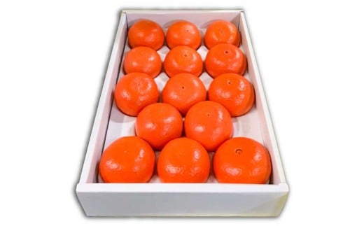 B350-14 まるたん　１４玉　化粧箱入り