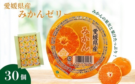 みかん ゼリー 30個 大容量｜B259