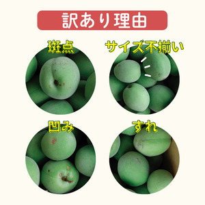 古城梅 約3kg (＋保証100g)【訳あり】 サイズ不揃い カキエモン農園【BX-kkem024】