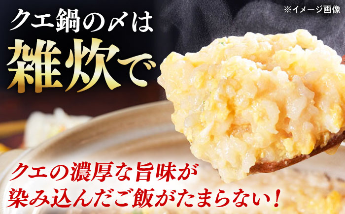 【全2回定期便】対馬産 クエ ぶつ切り 300g 鍋用スープ付《対馬市》【島本水産】高級魚 新鮮 肉厚 本格的 海鮮 鍋セット フライ 煮付け アラ [WBI010]