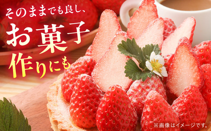 【2025年1月中旬〜発送】【数量限定】いちご「ゆめのか」 約260g × 4P / イチゴ 苺 フルーツ 果物 産地直送 朝摘み / 南島原市 / O' Berry! [SGA001]