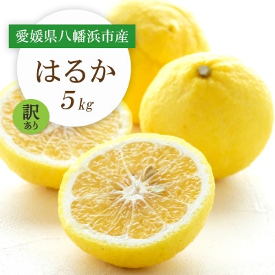 【2026年2月以降発送】すっきり甘い!愛媛県八幡浜市産はるか 5kg【訳あり】【C25−205】【1612466】