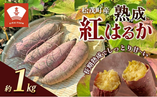 
喜来やさい園の熟成紅はるか 1kg
