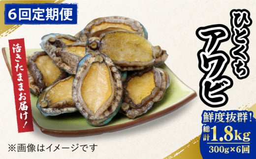【全6回定期便】【活きたままお届け！】 上五島産 養殖 ひとくち アワビ 活 厳選 300g 刺身 ステーキ 生 【豊建設株式会社】 [RAE016]