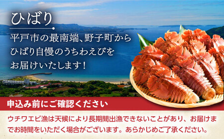 ウチワエビ しゃぶしゃぶ A(刺身200g 半身400g ポン酢80ml)【ひばり】[KAA059]/ 長崎 平戸 魚介類 海老 エビ ウチワエビ 季節限定 ご当地 グルメ 刺身 しゃぶしゃぶ
