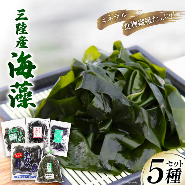 【ふるさと納税】三陸産 海藻 5種セット ( わかめ 茎わかめ ひじき ふのり 昆布 ) [さんりくみらい 宮城県 気仙沼市 20564805] 三陸 海産 海産物 詰め合わせ 三陸産わかめ ワカメ 若芽