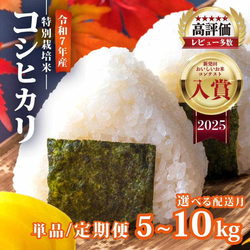 【ふるさと納税】 レビュー高評価 令和7年産 コシヒカリ 5kg 10kg 選べる 単品・定期便 配送月 3か月 減農薬 特栽米 新潟県産コシヒカリ 新発田産 新潟 ふるさと納税 米 お米 アグリ中俵 新潟県 新発田市 nakatawara001P