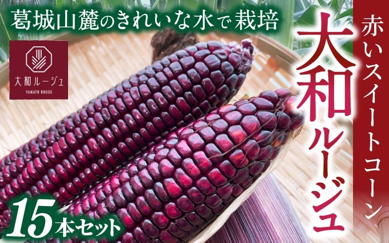 
                  先行予約 奈良県産 大和ルージュ 計15本 令和8年産 【2026年7月中旬～10月中旬順次発送】／ スマイル葛城農業 大和ルージュ 奈良 葛城市 とうもろこし トウモロコシ コーン スイート 美味い あかい 甘い 野菜 産直 新鮮 旬 茹で スープ サラダ グリル 名産 健康 美容 栄養 ふるさと納税 人気 家族 ギフト 奈良県 葛城市【smlk038】
                