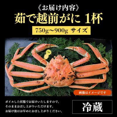 ふるさと納税 あわら市 【先行予約】【3月発送限定】茹で越前がに 1杯 750g〜900g |  | 01