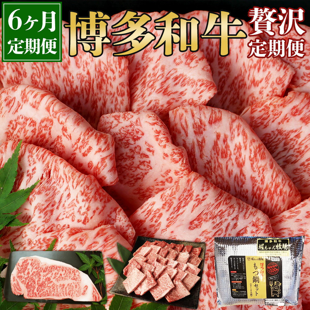 【ふるさと納税】【6ヶ月定期便】堀ちゃん牧場 博多和牛 贅沢 定期便 牛肉 和牛 焼肉 ミックス 牛丼 ホルモン もつ鍋 セット 上スライス ステーキ しゃぶしゃぶ 切り落とし スープ ちゃんぽん麺 食品 グルメ 冷凍 福岡県 大任町 送料無料