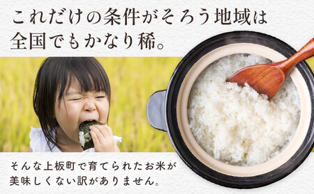 ＼7~14営業日以内に発送／もちもち美味しい！ 徳島ふるさと実り米 精米 5kg 徳島県 上板町 お米 米 白米