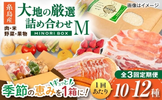 【全3回定期便】糸島産 肉 米 野菜 果物 厳選詰め合わせ MINORI BOX Mサイズ 糸島市 / emma.Inc / 米 肉 野菜 果物 詰め合わせ [AOP012]