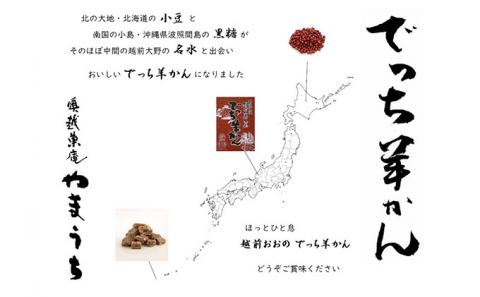 【先行予約】老舗和菓子店　福井県大野市冬の名物 でっち羊かん 厚サイズ（約540g）2本×1箱【11月～順次発送】