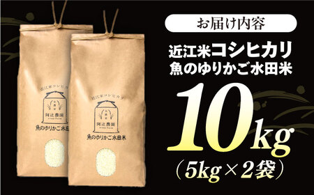 近江米コシヒカリ魚のゆりかご水田米 10kg[AQAW012]コシヒカリコシヒカリコシヒカリコシヒカリコシヒカリコシヒカリ米米米米