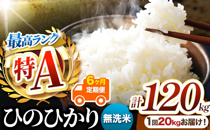 
                  【 定期便6回 】熊本県産 無洗米 ひのひかり 20kg | お米 米 こめ おこめ 精米 無洗米 ヒノヒカリ ご飯 国産 国産米 定期 くまもと 熊本 熊本県 玉名市 玉名
                