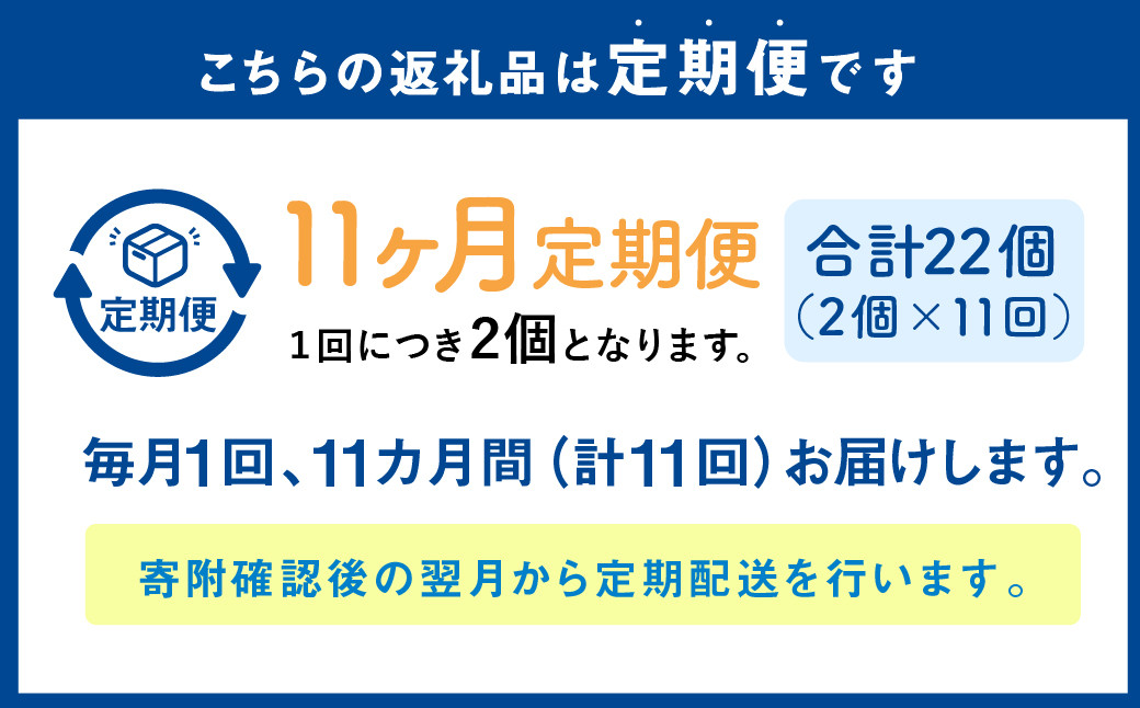 【1ヶ月毎11回定期便】 カムカムおこめチップス（しお） ボックスタイプ 計22個 （2個×11回） お菓子 スナック菓子