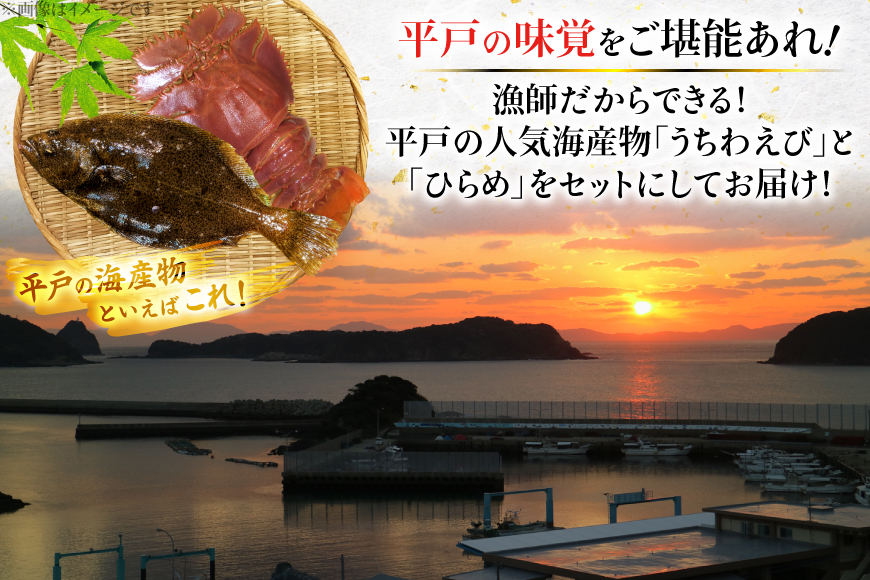 ヒラメ ウチワエビ 刺身 盛り合わせ ひらめ うちわ海老 刺盛セット 約160g×12回 計1920g 【全12回定期便】 [平戸さくら水産 長崎県 平戸市 hr42bgy420147] 魚介 さかな