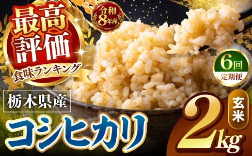 【令和8年産 先行予約】【定期便6回】訳あり こしひかり 約2kg 玄米 訳あり  |   米  お米 こめ 玄米 ご飯 ごはん もちもち コシヒカリ   栃木県 真岡市 送料無料