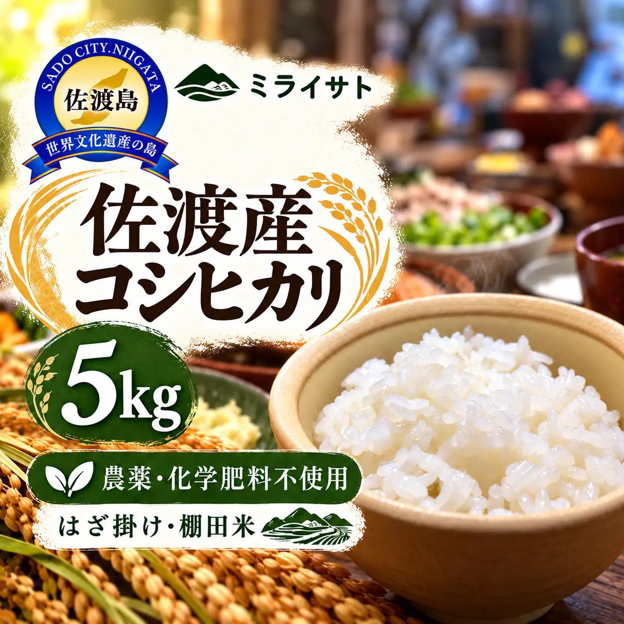 【令和8年産】佐渡産コシヒカリ 精米5kg ミライサト