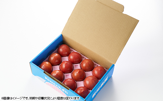 佐野市 元気になるトマト【フルーツトマト】