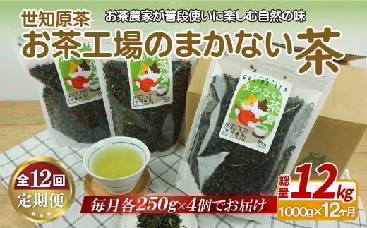 C247p 世知原茶お茶工場のまかない茶【12回定期便】
