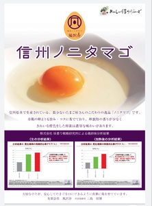 【２ヵ月定期配送】信州ノニタマゴ　茶玉３０個  