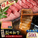 【ふるさと納税】【A4～A5】長崎和牛 焼肉用 約500g＜株式会社MEAT PLUS＞[CFT001] 焼肉 やきにく BBQ 贈り物 ギフト 贈答用 肉 牛肉