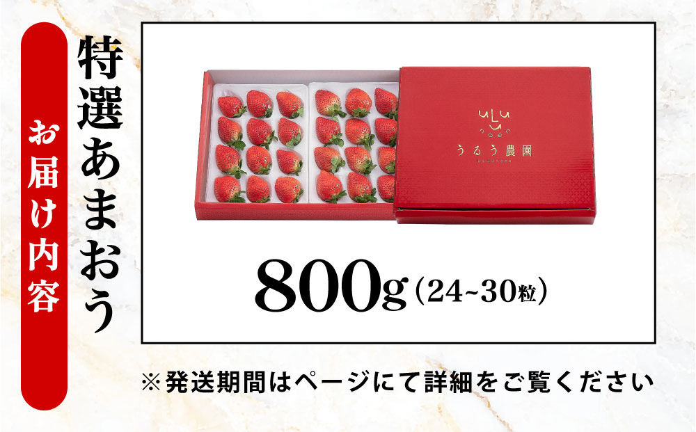 特選あまおう　800g