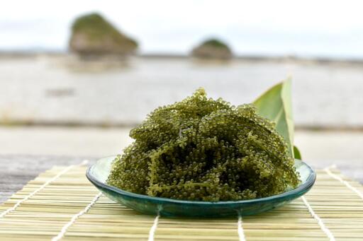 海ぶどう　250g× 1 パック（ご自宅用）