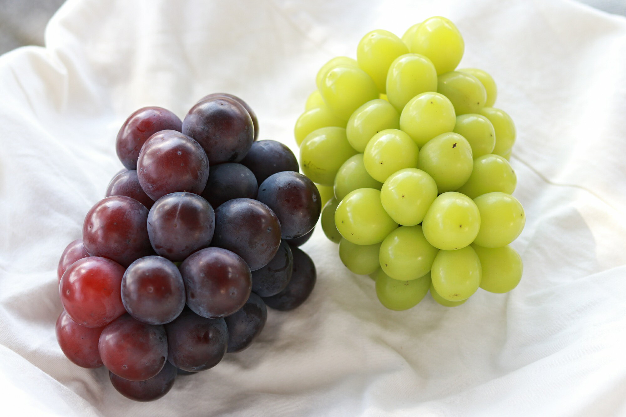 【ふるさと納税】【2026年先行予約】【訳あり】ご家庭用ぶどう2種セット 2房 約1.0kg / ぶどう 詰め合わせ ブドウ 葡萄 シャインマスカット ピオーネ クイーンニーナ オーロラブラック 先行予約 フルーツ 訳あり 果物 大粒サイズ