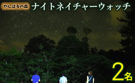 やんばるの森　ナイトネイチャーウォッチ　2名様 やんばる ナイトツアー アドベンチャー 冒険 探検 満天の星空 夜の森 ガイド付き 世界自然遺産 希少生物 やんばる国立公園 亜熱帯 ジャングル 安心 手軽に参加 非日常 特別 ヤンバルエクスペリエンス やんばる観光 東村